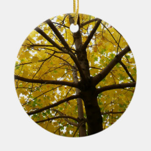 Décoration En Céramique Paire d'érables jaunes Automne Nature