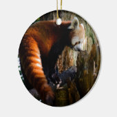 Décoration En Céramique panda rouge curieux (Gauche)