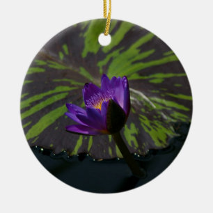 Décoration En Céramique Paniers de lys à rayures Nénuphar de Lotus pourpre