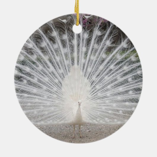 Décoration En Céramique paon blanc (Dos)