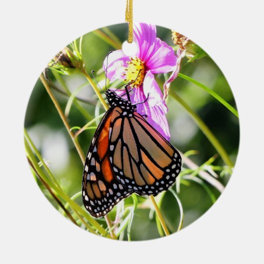 Décoration En Céramique Papillon monarque (Dos)