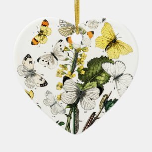 Décoration En Céramique Papillons d'Europe vintage