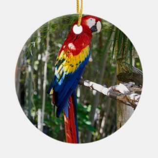 Décoration En Céramique Parrot Macaw à l'écarlate