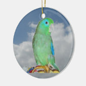 Décoration En Céramique Parrotlet Spectaculaire (Gauche)
