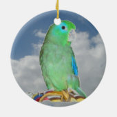Décoration En Céramique Parrotlet Spectaculaire (Dos)