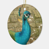 Décoration En Céramique Peacock Belle photographie nature (Gauche)