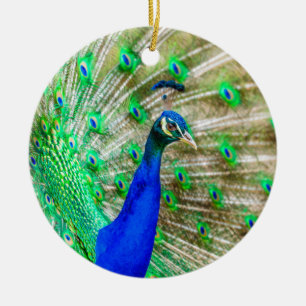 Décoration En Céramique Peacock Plumage