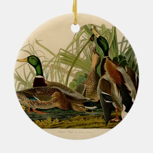 Décoration En Céramique Peinture d'oiseaux de Mallard Duck Audubon (Dos)