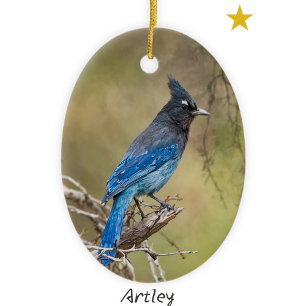 Décoration En Céramique Peinture sur mesure d'Oiseaux de Jay de Stellar No