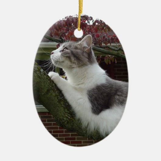 Décoration En Céramique Pensées de chat (Devant)