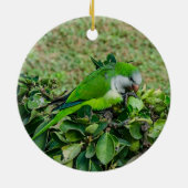 Décoration En Céramique Perroquet vert (Dos)