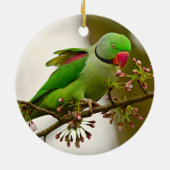 Décoration En Céramique Perrot à col rond indien (Dos)