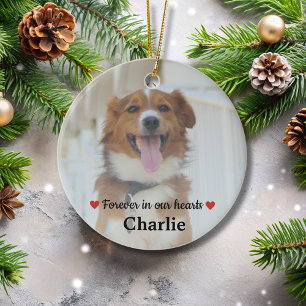 Décoration En Céramique Pet Memorial Pet Loss Keepsake Gift Dog Photo Cera
