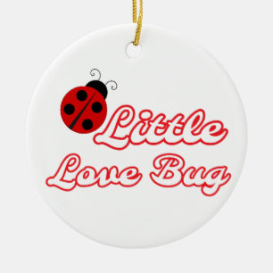 Décoration En Céramique Petit Bug Ladybug personnalisé