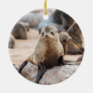 Décoration En Céramique Phoque bébé sur rocher