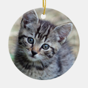 Décoration En Céramique Photo Cute Tabby Kitten