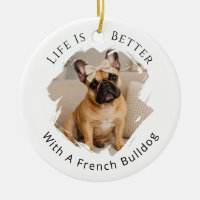 Photo de Bouledogue Français La vie est meilleure