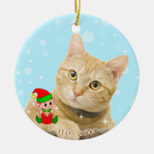 Décoration En Céramique Photo de chat tigré gingembre personnalisé avec un