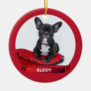 Décoration En Céramique Photo de chien élégant avec ruban rouge
