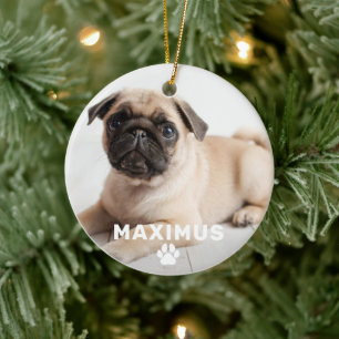 Décoration En Céramique Photo de chien personnalisée avec empreinte de pat