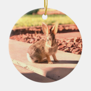 Décoration En Céramique photo de lapin de Pâques printemps