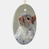 Décoration En Céramique Photo d'écureuil Curieux (Droite)