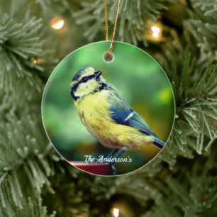 Décoration En Céramique Photo d'oiseau à poitrine jaune personnalisée