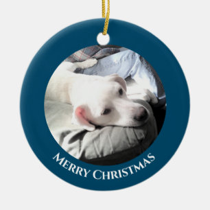 Décoration En Céramique Photo d'un chien chiot blanc mignon avec papa Cera