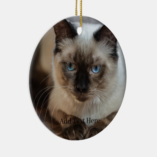 Décoration En Céramique Photo et nom personnalisés de l'animal (Droite)