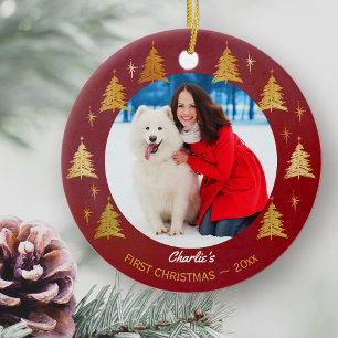 Décoration En Céramique Photo faite sur commande d'animal familier de