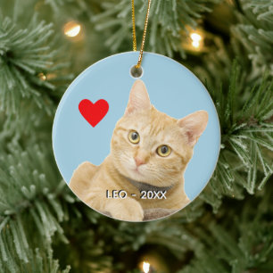 Décoration En Céramique Photo personnalisée de chat roux tabby sur fond bl