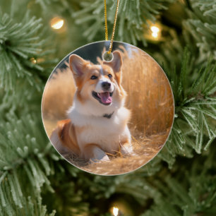Décoration En Céramique Photo personnalisée pour animaux