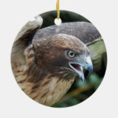 Décoration En Céramique Photo Raptor Hawk à queue rouge (Dos)