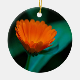 Décoration En Céramique Photographie de fleur de marguerite orange