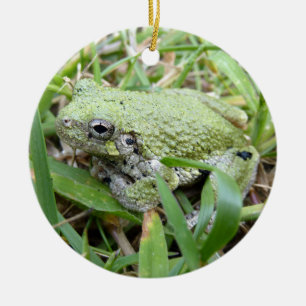 Décoration En Céramique Photographie de la nature de la grenouille arboric