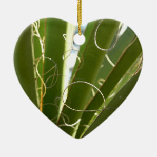 Décoration En Céramique Photographie de la nature verte Feuille du Yucca