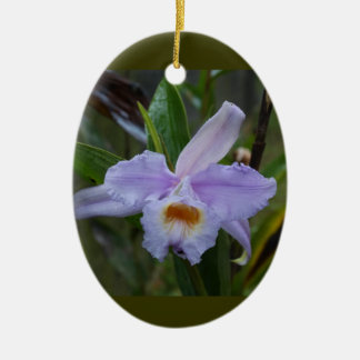 Décoration En Céramique Photos