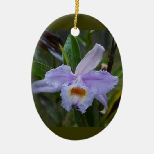 Décoration En Céramique Photos (Devant)