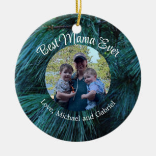 Décoration En Céramique Pin rustique pin pinède vert à feuillage persistan