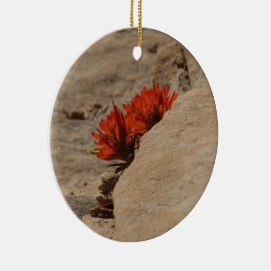 Décoration En Céramique Pinceau indien en roche à Sion (Droite)