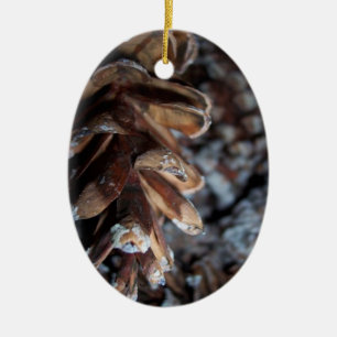 Décoration En Céramique Pinecone