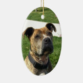 Décoration En Céramique Pitbull (Droite)