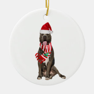 Décoration En Céramique PITBULL Avec Casquette Scaft Noël