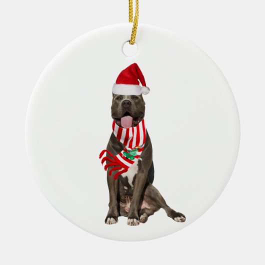 Décoration En Céramique PITBULL Avec Casquette Scaft Noël (Devant)