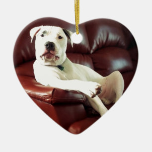Décoration En Céramique pitbull blanc drôle sur le canapé