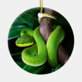 Décoration En Céramique pitviper en bambou Rouge-coupé la queue (Devant)