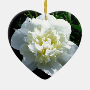 Décoration En Céramique Pivoine blanche élégante photo de fleur blanche