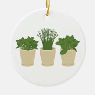 Décoration En Céramique Plantes pointus