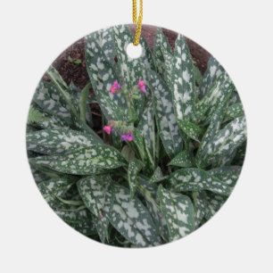 Décoration En Céramique Pluriannuel de Pulmonaria - de Lungwort