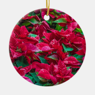 Décoration En Céramique Poinsettia Arbre de Noël